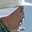 Rostro 1