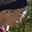 Rostro 2