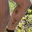 Rostro 1