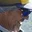 Rostro 1