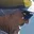 Rostro 1
