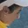 Rostro 1