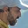 Rostro 1