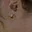 Rostro 2