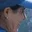 Rostro 1