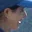 Rostro 1