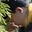 Rostro 2