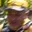 Rostro 2