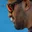 Rostro 1