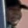 Rostro 3