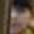 Rostro 5