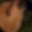 Rostro 2