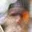 Rostro 4