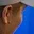 Rostro 5