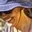 Rostro 7