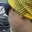 Rostro 4