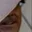 Rostro 6