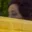 Rostro 6