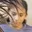 Rostro 4