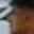 Rostro 6