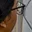 Rostro 6