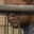 Rostro 6