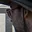 Rostro 1