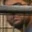 Rostro 5