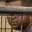 Rostro 6