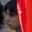 Rostro 5
