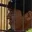 Rostro 2