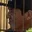 Rostro 2
