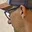 Rostro 3