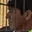 Rostro 3