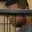 Rostro 4