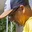 Rostro 2