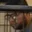 Rostro 3