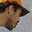 Rostro 3