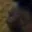 Rostro 3