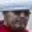 Rostro 6