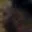 Rostro 3