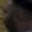 Rostro 3