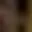 Rostro 4