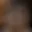 Rostro 4