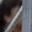Rostro 4