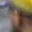 Rostro 3