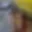 Rostro 4