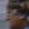 Rostro 6