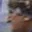 Rostro 6