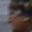 Rostro 5